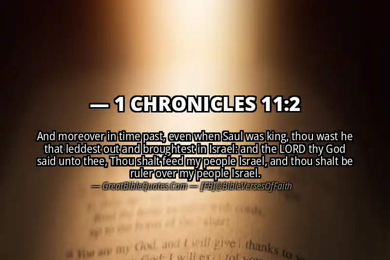 1 CHRONICLES 11:2 Verse