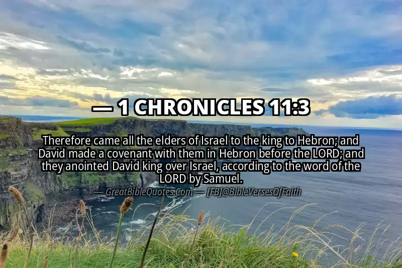 1 CHRONICLES 11:3 Verse