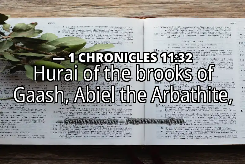 1 CHRONICLES 11:32 Verse Image
