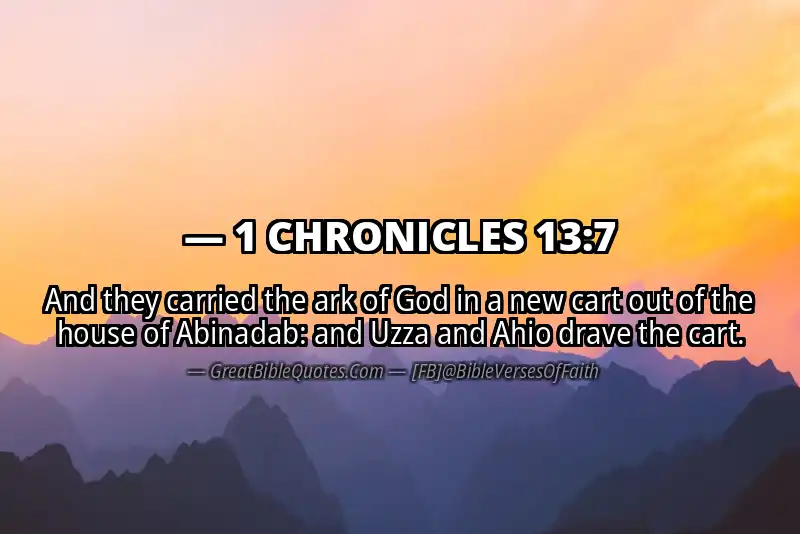 1 CHRONICLES 13:7 Verse