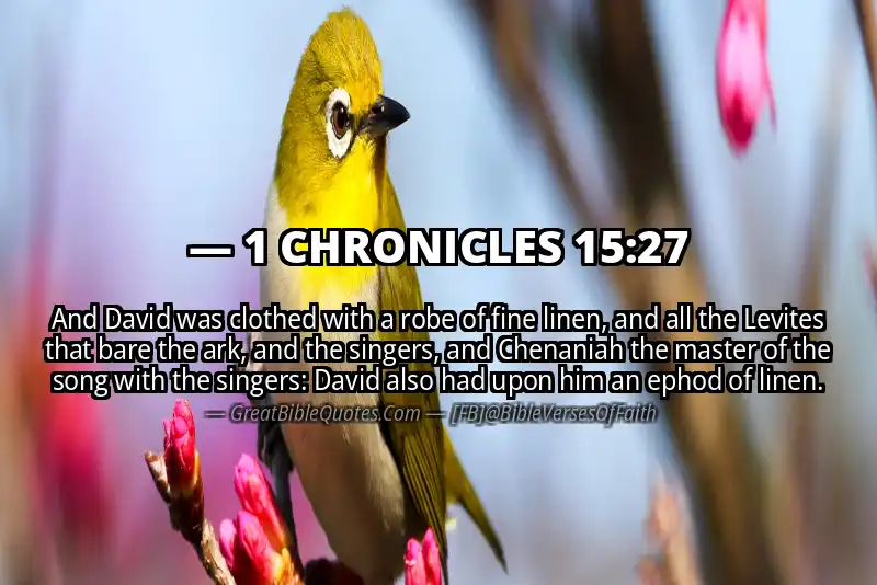 1 CHRONICLES 15:27 Verse