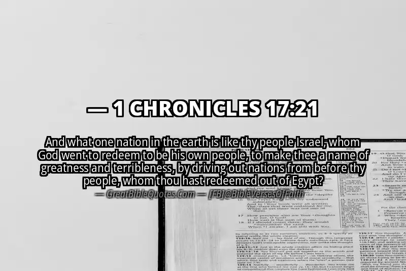 1 CHRONICLES 17:21 Verse Image