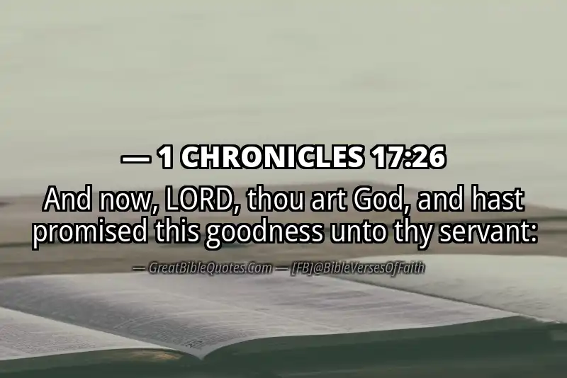 1 CHRONICLES 17:26 Verse