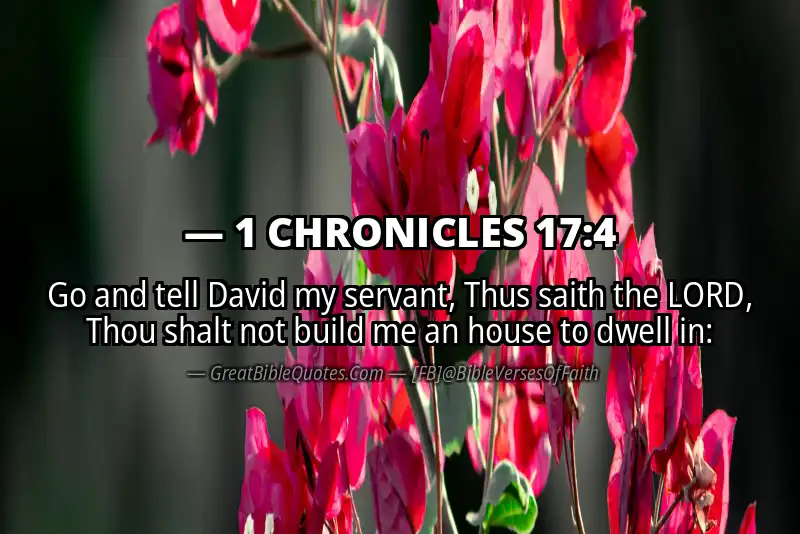 1 CHRONICLES 17:4 Verse
