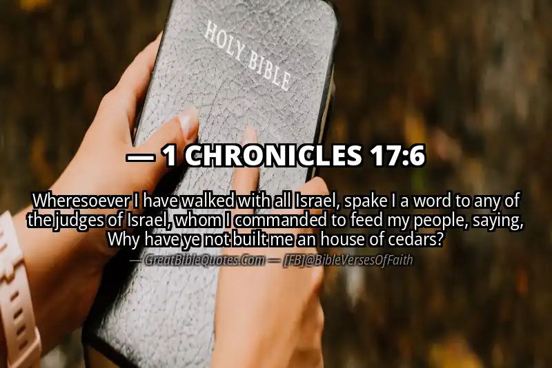 1 CHRONICLES 17:6 Verse