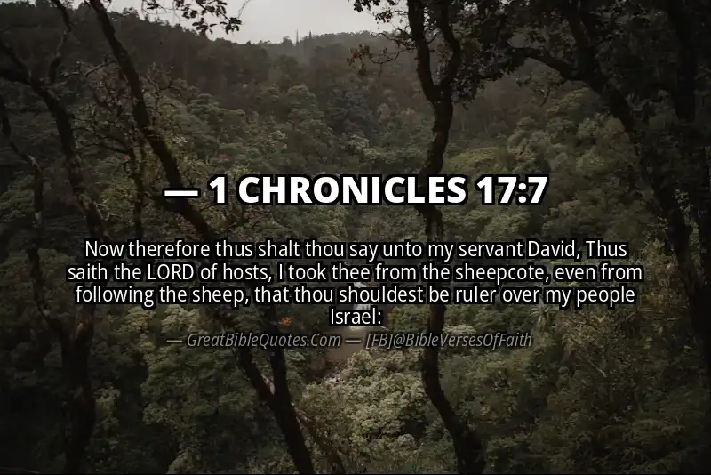 1 CHRONICLES 17:7 Verse