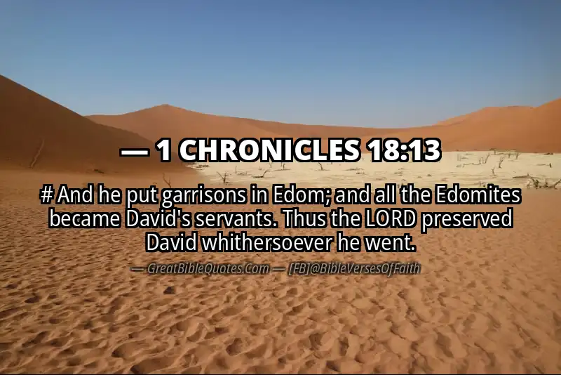 1 CHRONICLES 18:13 Verse Image