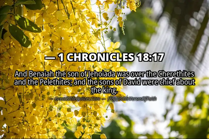 1 CHRONICLES 18:17 Verse
