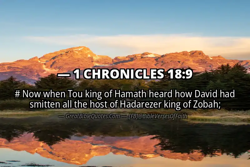 1 CHRONICLES 18:9 Verse Image