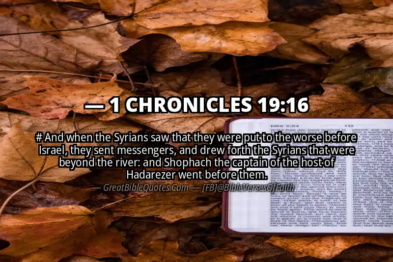 1 CHRONICLES 19:16 Verse