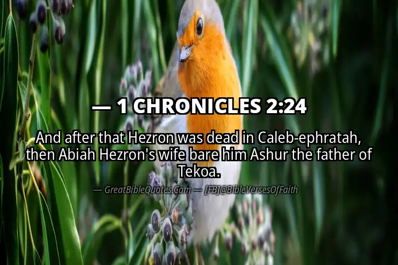 1 CHRONICLES 2:24 Verse