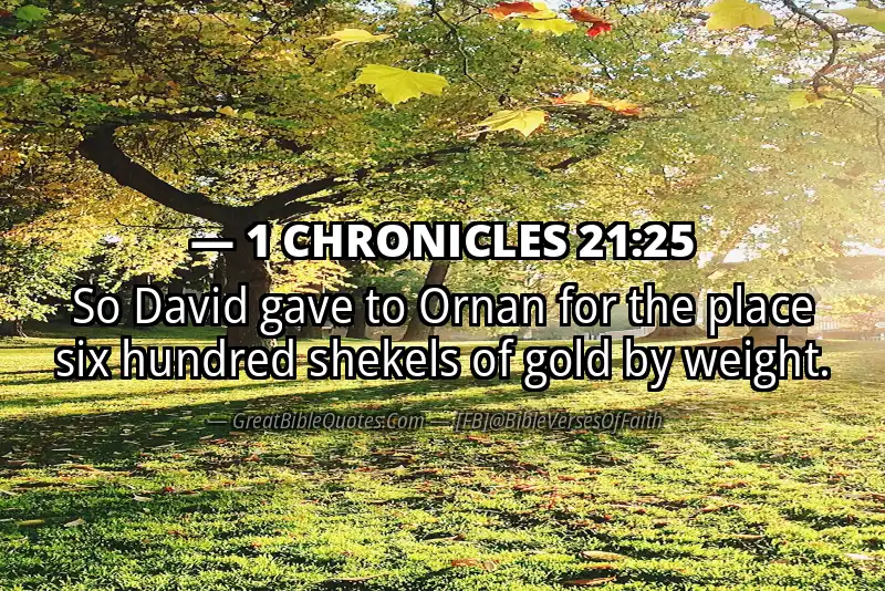 1 CHRONICLES 21:25 Verse