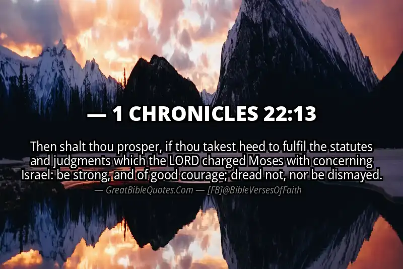 1 CHRONICLES 22:13 Verse Image