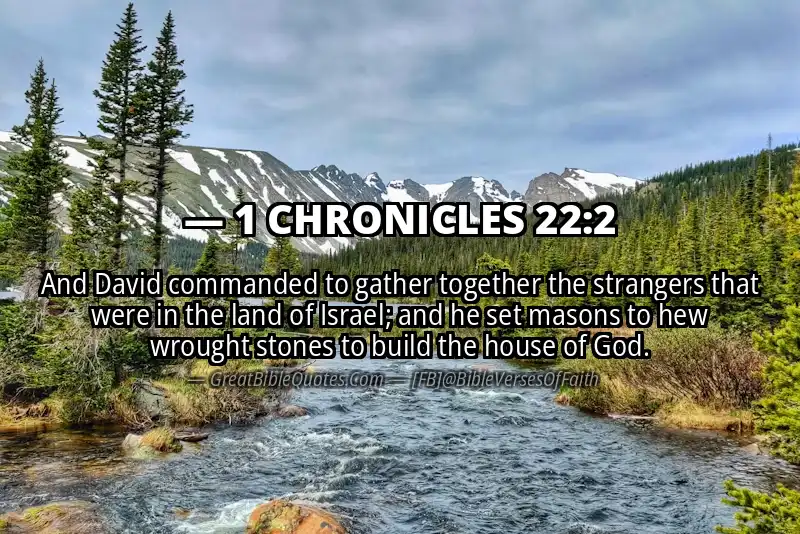 1 CHRONICLES 22:2 Verse