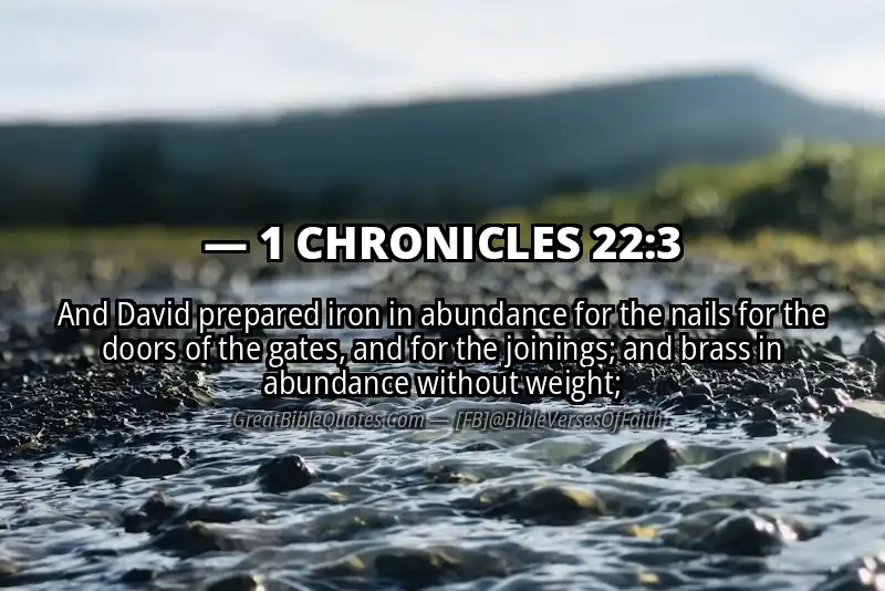 1 CHRONICLES 22:3 Verse