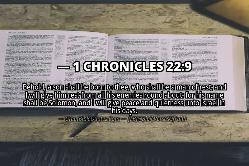 1 CHRONICLES 22:9 Verse Image