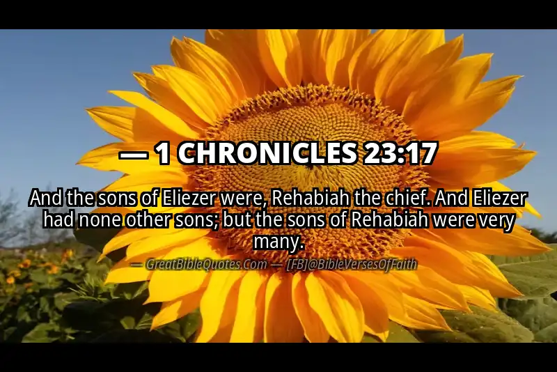 1 CHRONICLES 23:17 Verse