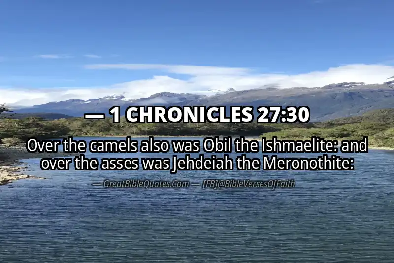 1 CHRONICLES 27:30 Verse