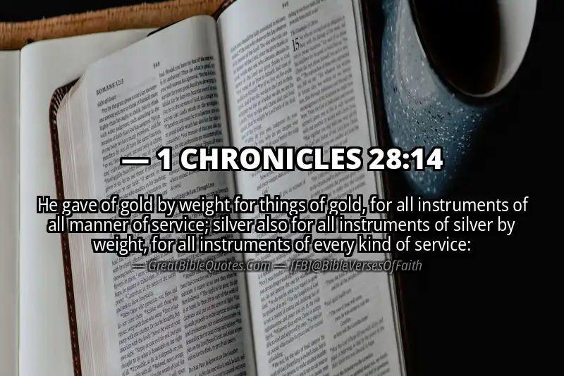 1 CHRONICLES 28:14 Verse