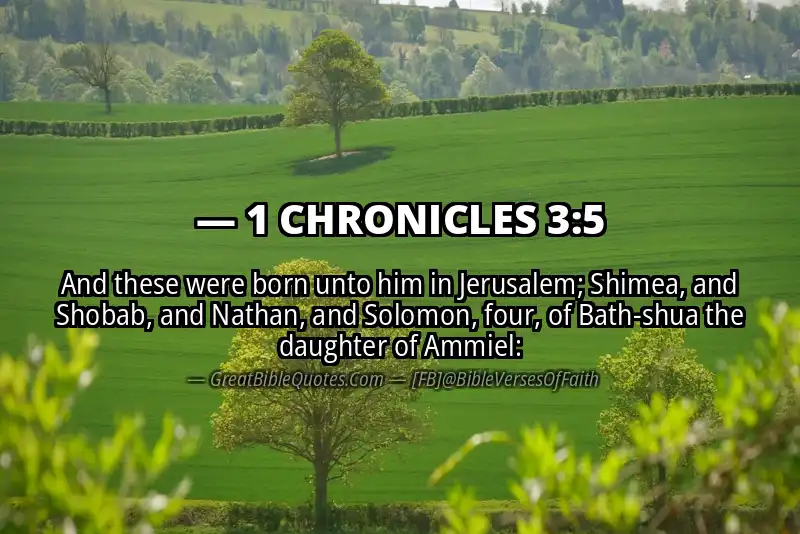 1 CHRONICLES 3:5 Verse
