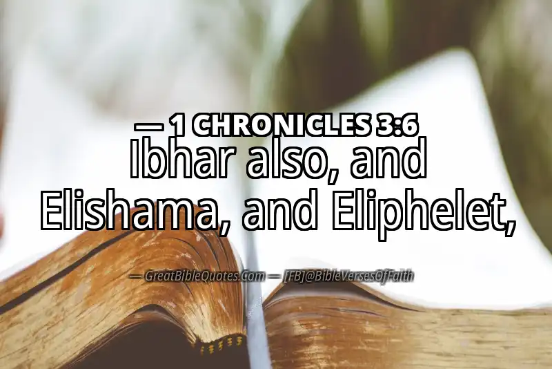 1 CHRONICLES 3:6 Verse