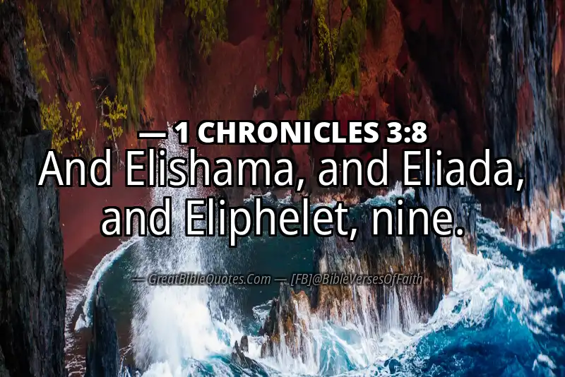 1 CHRONICLES 3:8 Verse