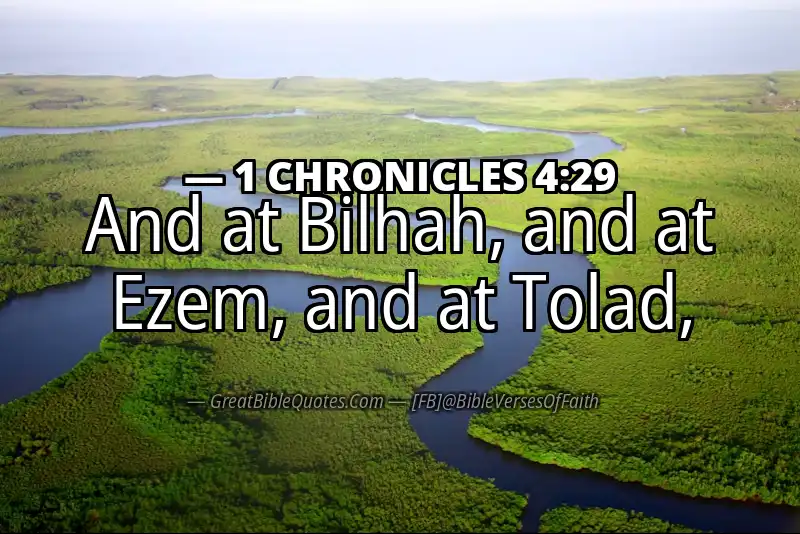 1 CHRONICLES 4:29 Verse