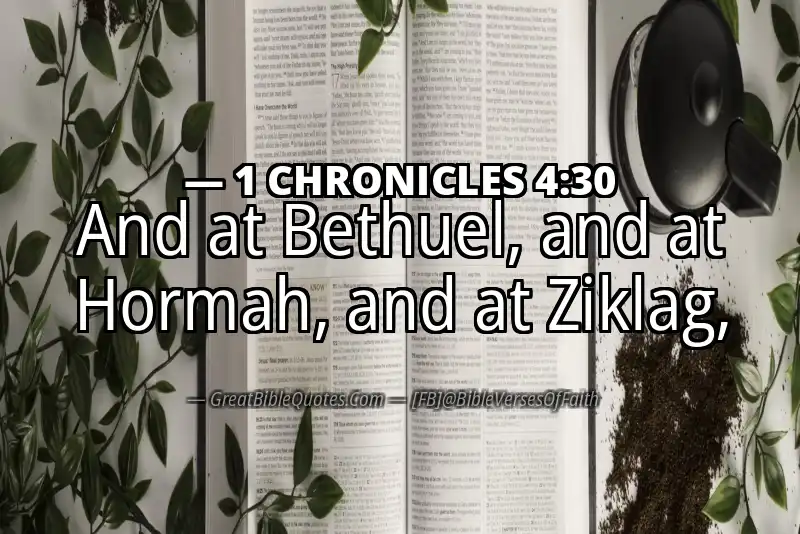 1 CHRONICLES 4:30 Verse