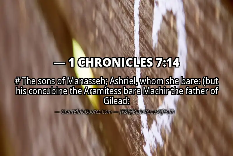 1 CHRONICLES 7:14 Verse