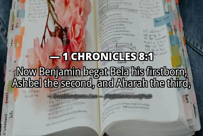 1 CHRONICLES 8:1 Verse