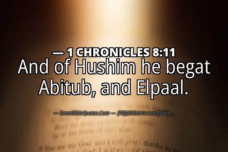 1 CHRONICLES 8:11 Verse Image
