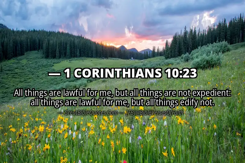 1 CORINTHIANS 10:23 Verse