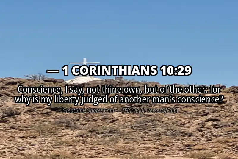 1 CORINTHIANS 10:29 Verse