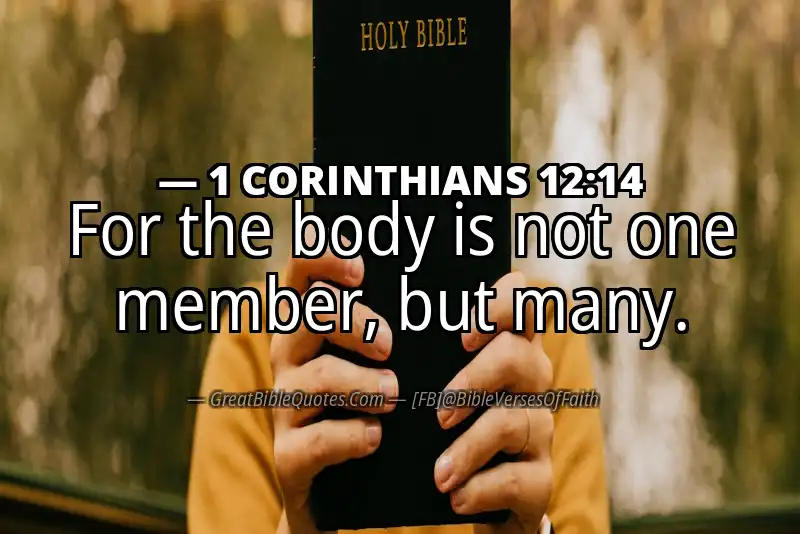 Bible verse: 1 CORINTHIANS 12:14 Image