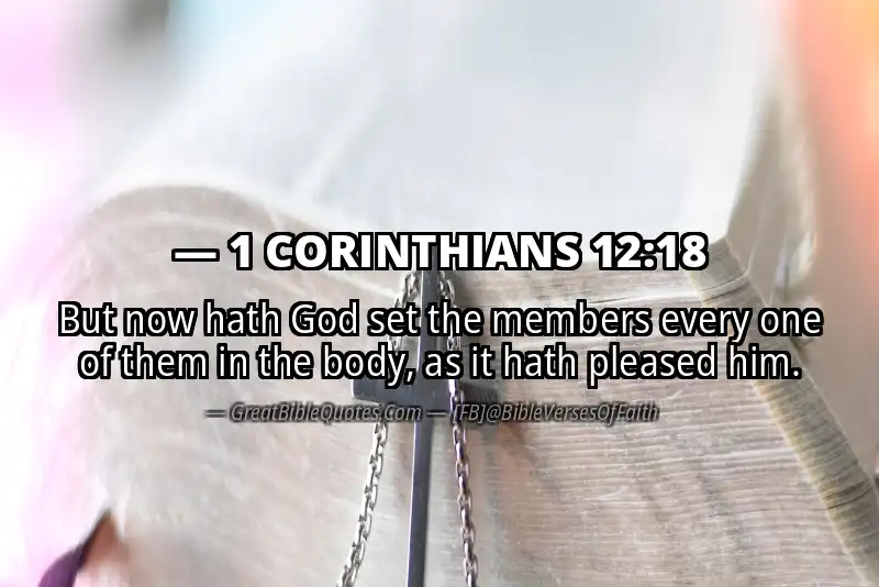 Bible verse: 1 CORINTHIANS 12:18 Image