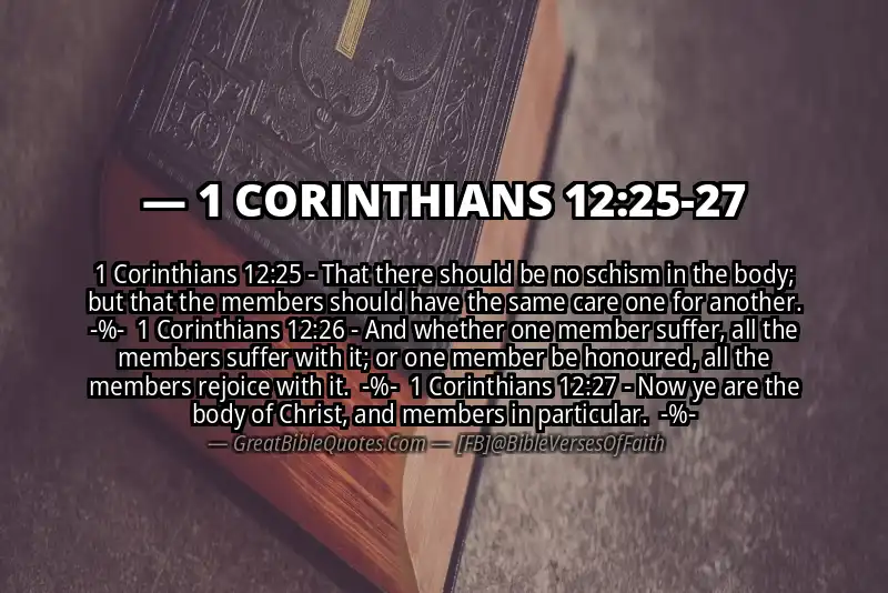 Image for 1 CORINTHIANS 12:25-27 Bible verse