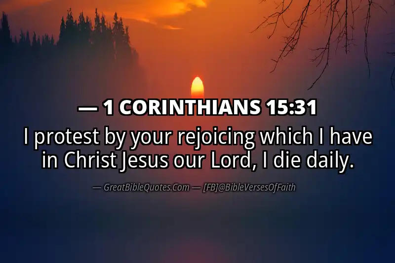 Bible verse: 1 CORINTHIANS 15:31 Image