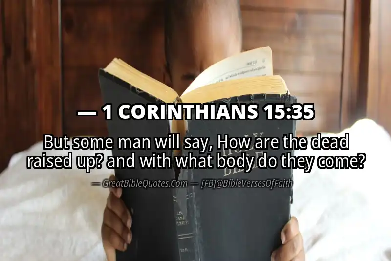 1 CORINTHIANS 15:35 Verse Image