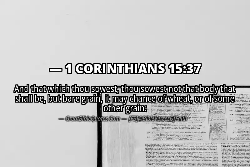 1 CORINTHIANS 15:37 Verse Image