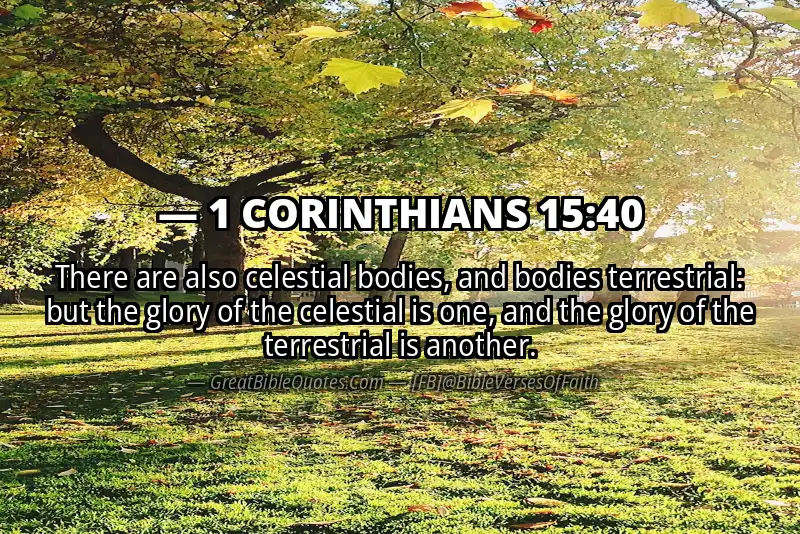 1 CORINTHIANS 15:40 Verse