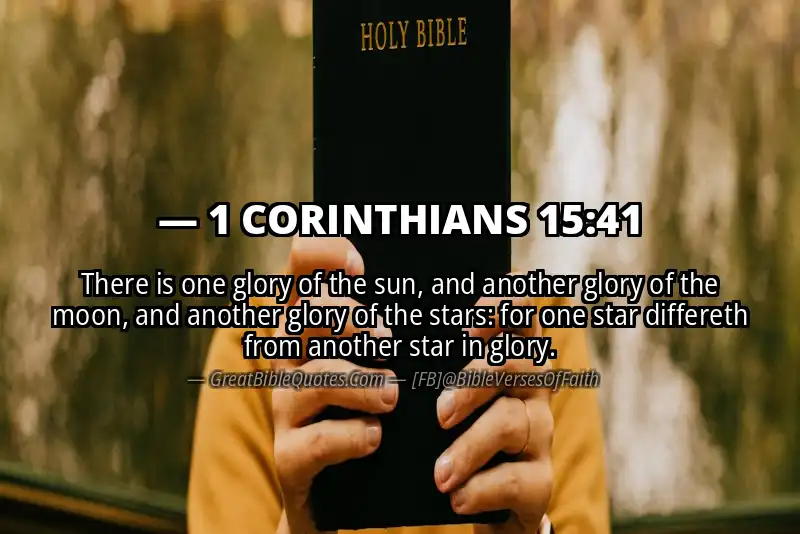 1 CORINTHIANS 15:41 Verse