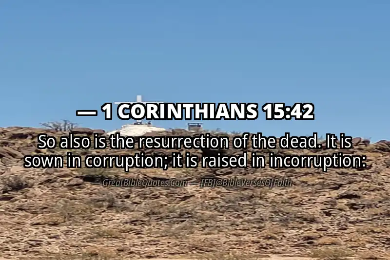 1 CORINTHIANS 15:42 Verse