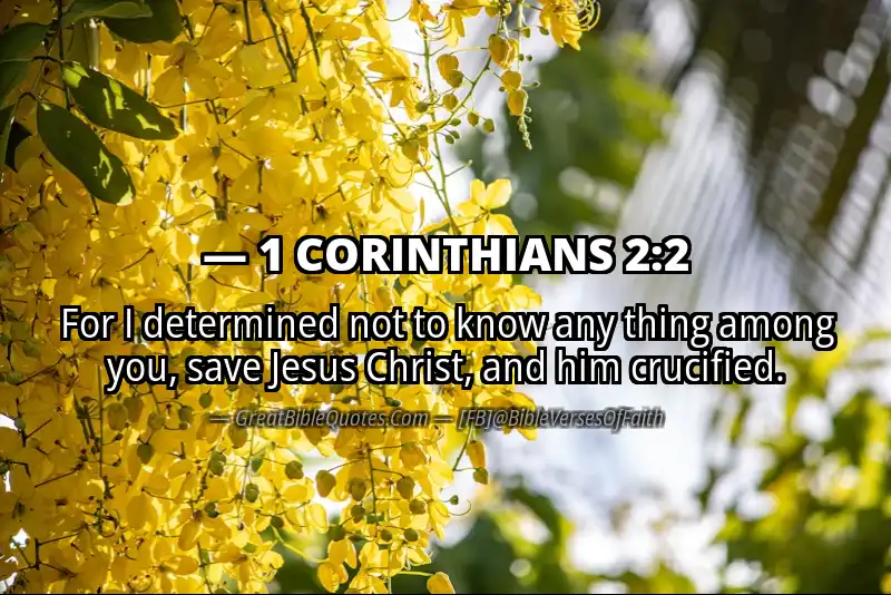 Bible verse: 1 CORINTHIANS 2:2 Image