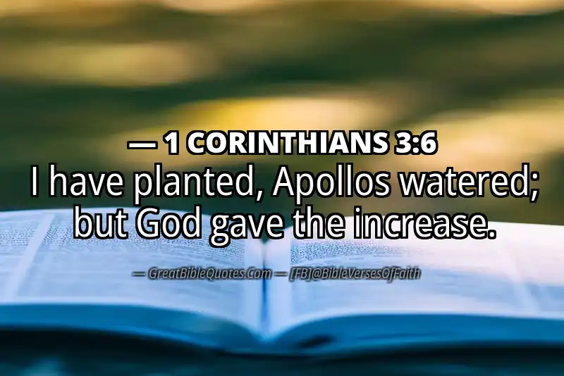 1 CORINTHIANS 3:6 Verse