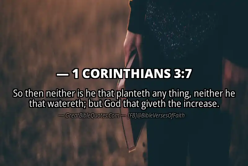 1 CORINTHIANS 3:7 Verse