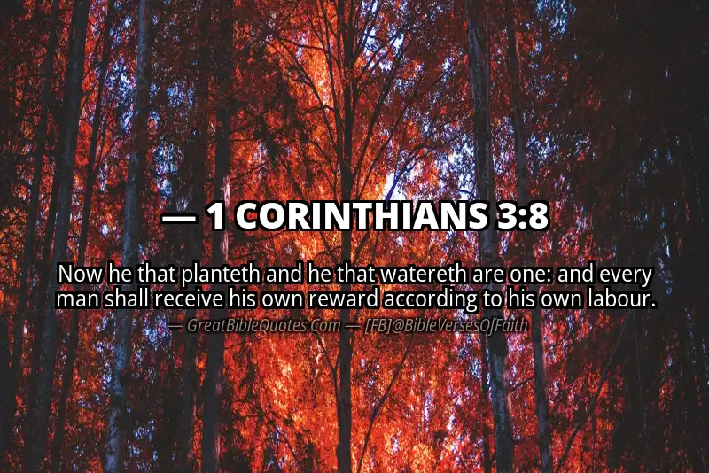 1 CORINTHIANS 3:8 Verse