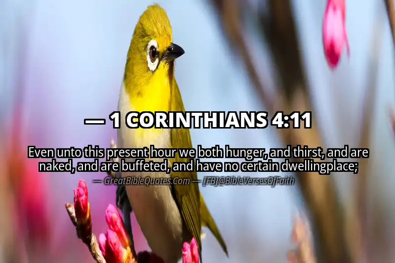 1 CORINTHIANS 4:11 Verse