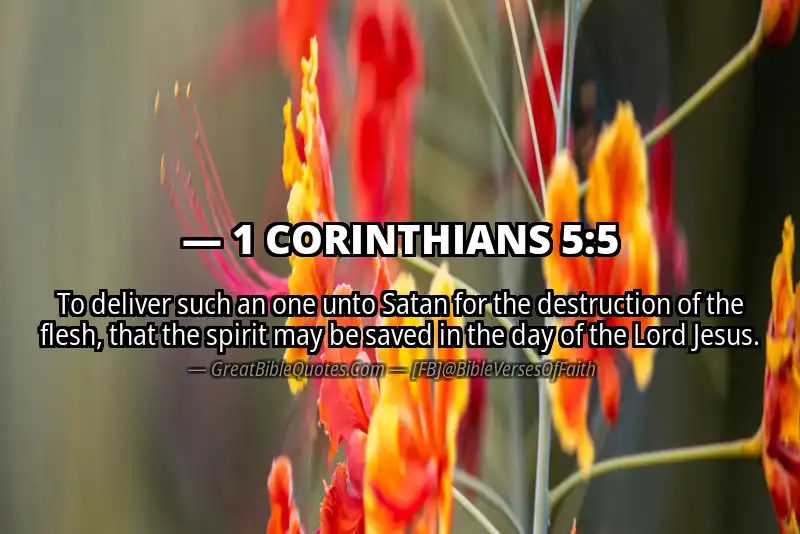 Bible verse: 1 CORINTHIANS 5:5 Image