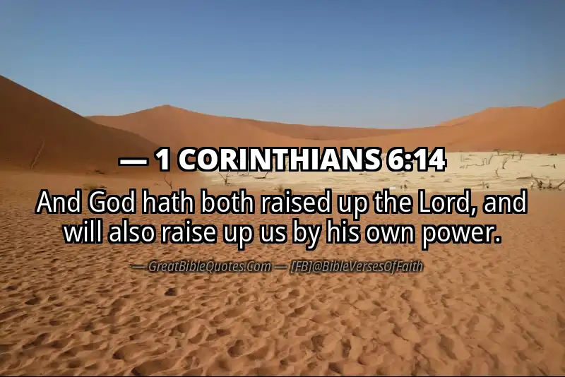 1 CORINTHIANS 6:14 Verse