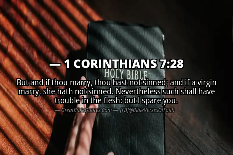 Bible verse: 1 CORINTHIANS 7:28 Image